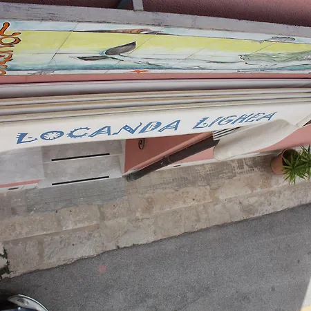 Lighea סן ויטו לו קאפו